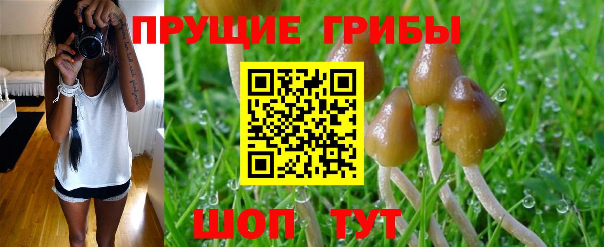 Малоярославец  Галлюциногенные грибы мухоморы  Вход с VPN 